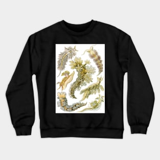 Sea Slugs Nudibranchia by Ernst Haeckel Crewneck Sweatshirt